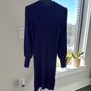 Banana Republic Long Sleeve Purple Dress